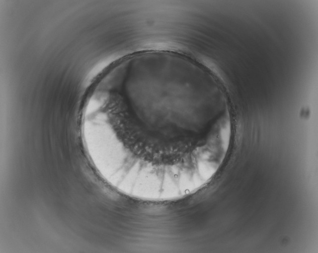 X0000113061071200910091137