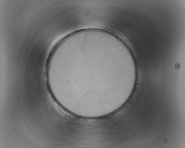 X0000113061072200910091137