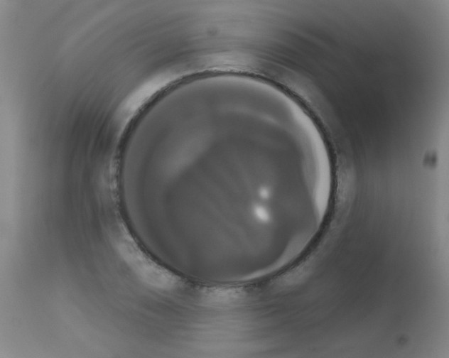 X0000113061074200910091137