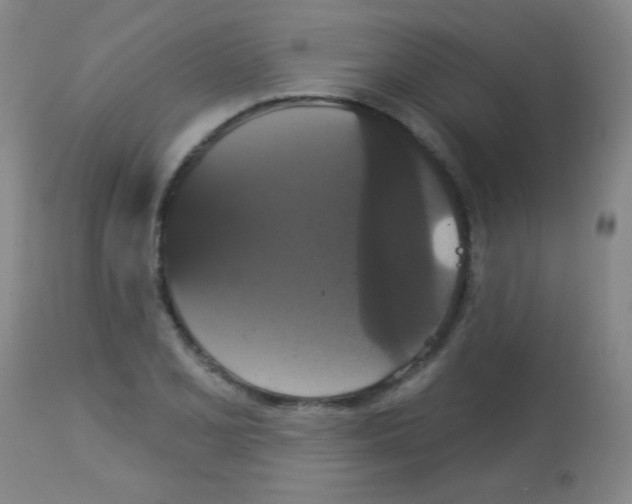 X0000113061077200910091137