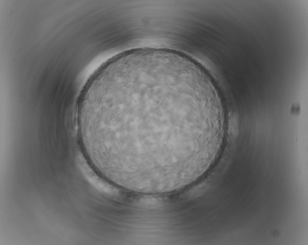 X0000113061078200910091137
