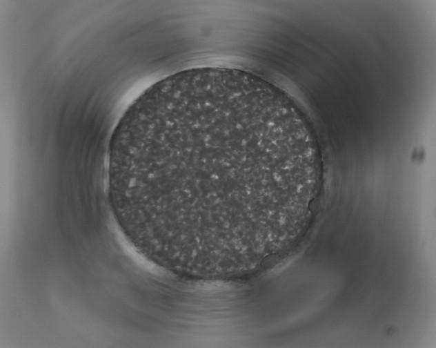 X0000113061079200910091137