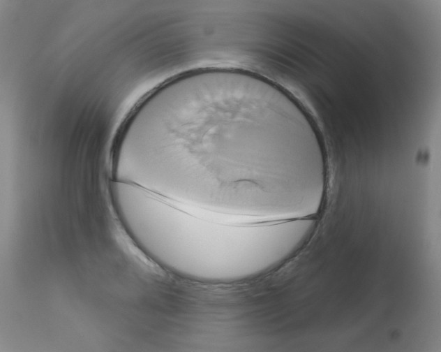 X0000113061080200910091137