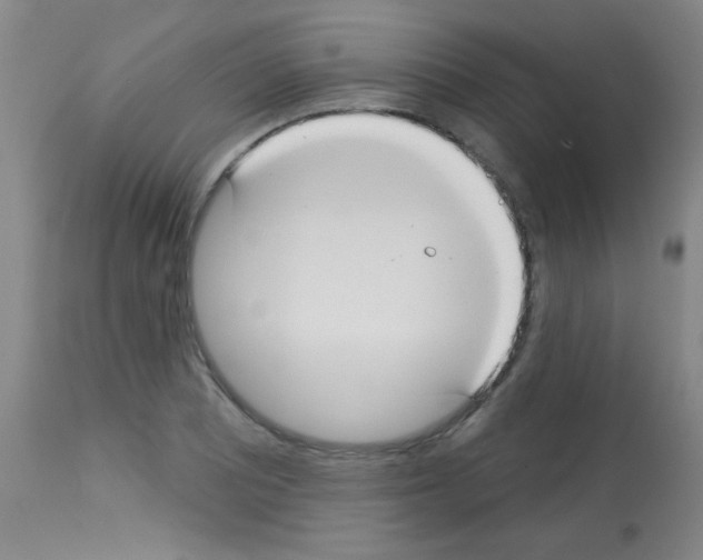 X0000113061081200910091137