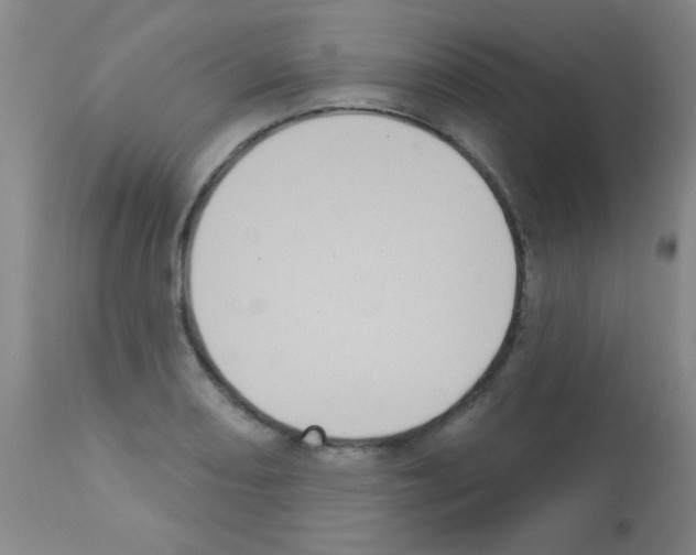 X0000113061082200910091137