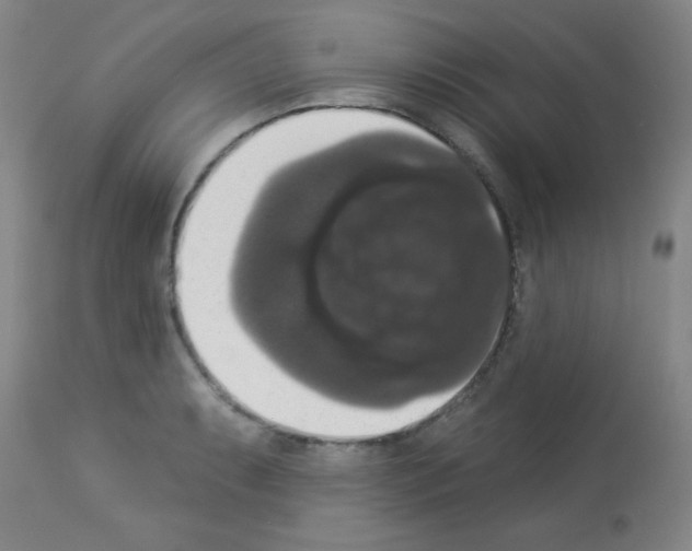 X0000113061087200910091137