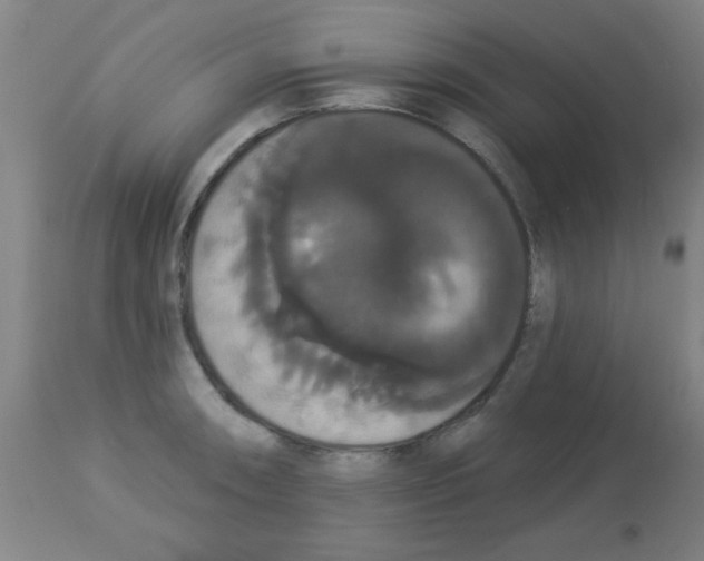X0000113061090200910091137