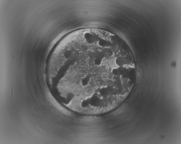 X0000113061091200910091137
