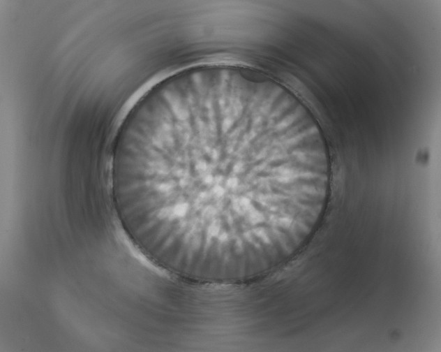 X0000113061092200910091137