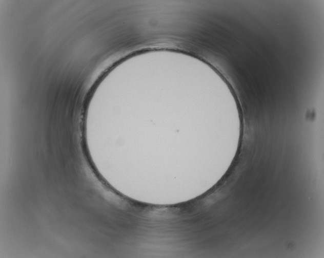 X0000113061093200910091137