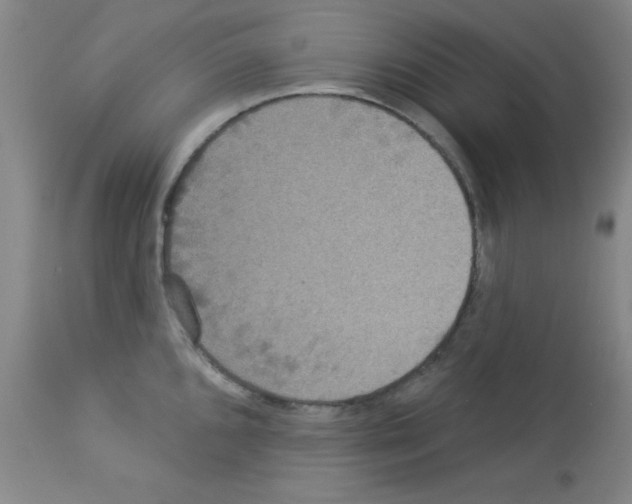 X0000113061096200910091137