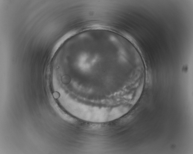 X0000113061098200910091137