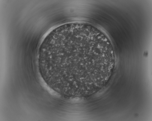 X0000113061099200910091137