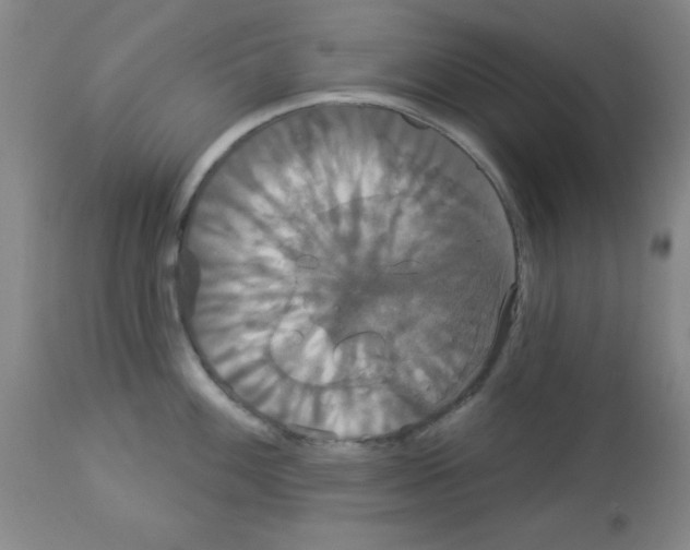 X0000113061100200910091137