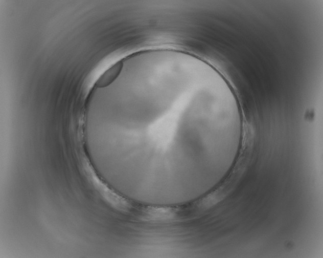 X0000113061101200910091137