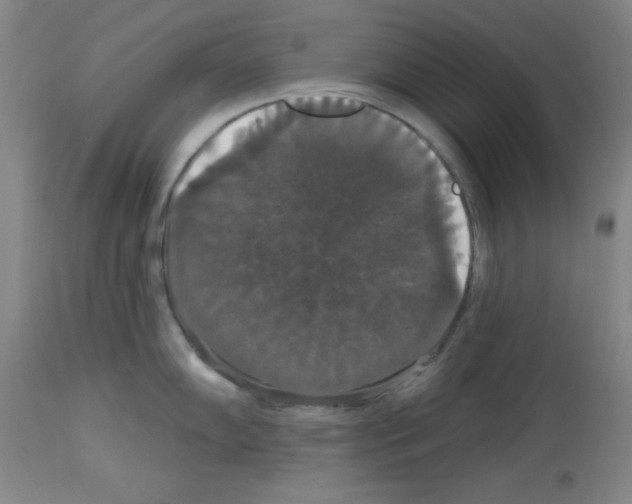 X0000113061102200910091137