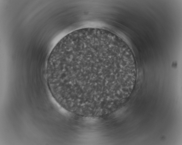 X0000113061103200910091137
