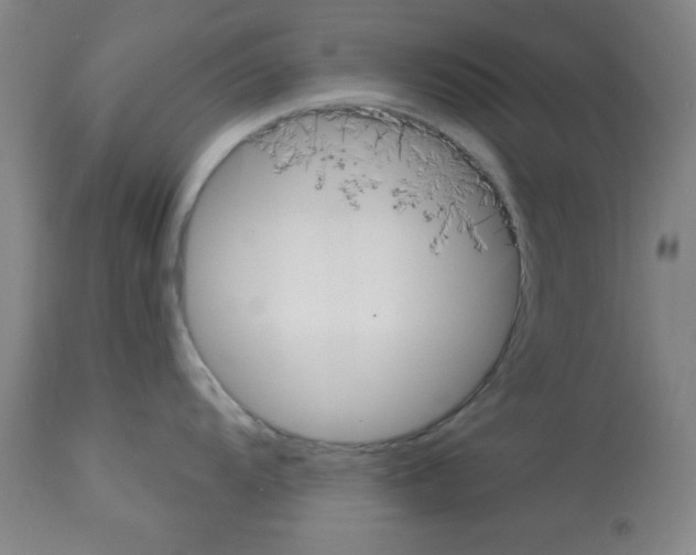 X0000113061104200910091137