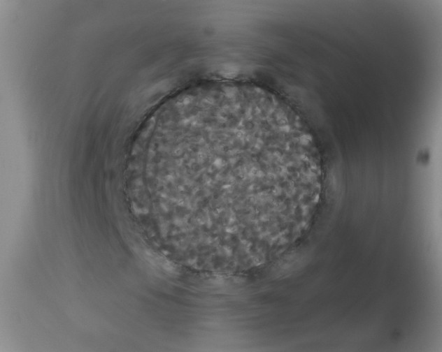 X0000113061105200910091136