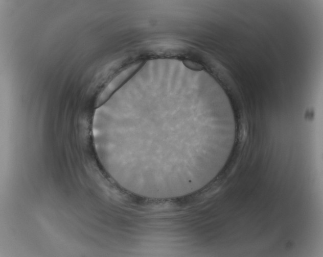 X0000113061108200910091136