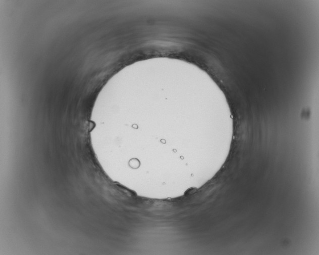 X0000113061109200910091136