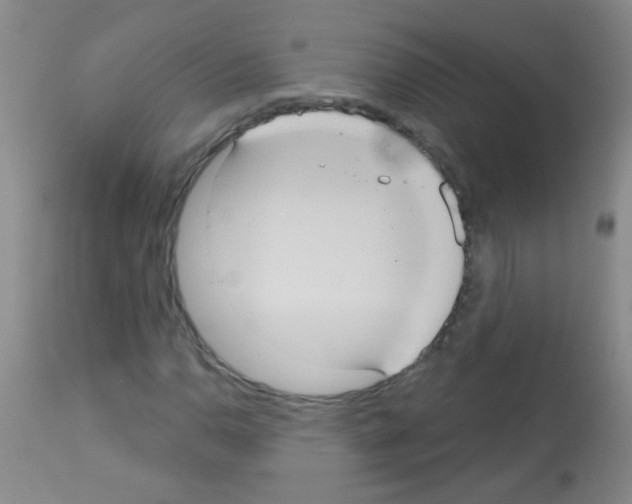 X0000113061110200910091136
