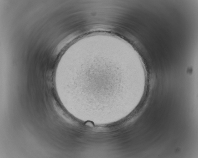 X0000113061113200910091136