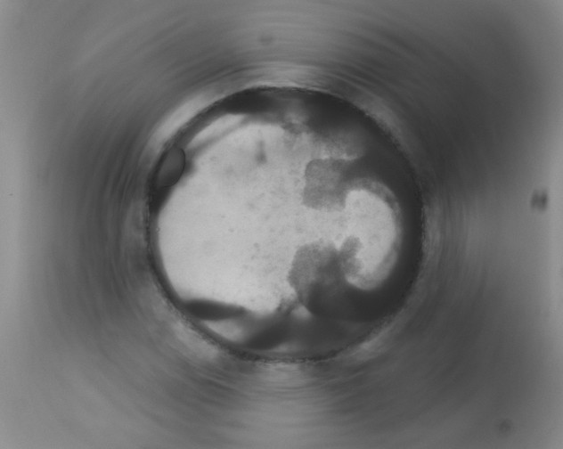 X0000113061114200910091136