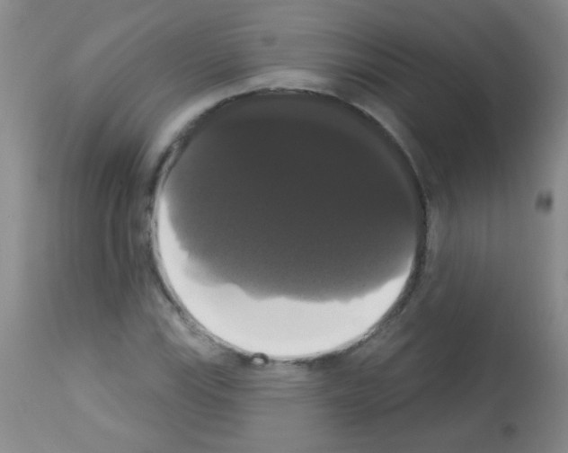X0000113061115200910091136