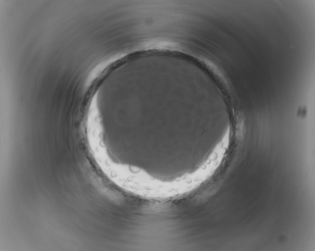 X0000113061117200910091136