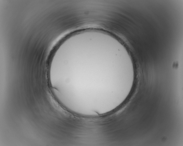 X0000113061118200910091136