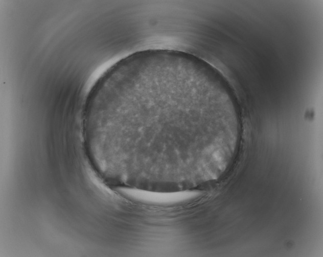 X0000113061120200910091136