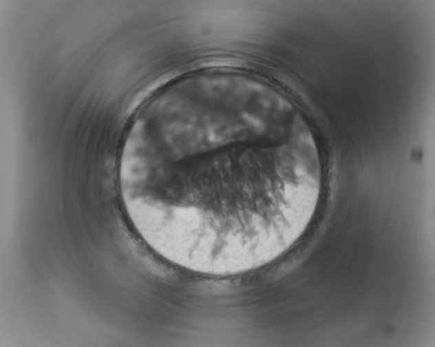 X0000113061121200910091136