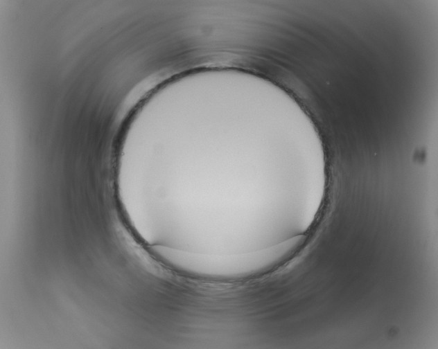 X0000113061122200910091136