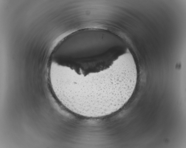 X0000113061125200910091136