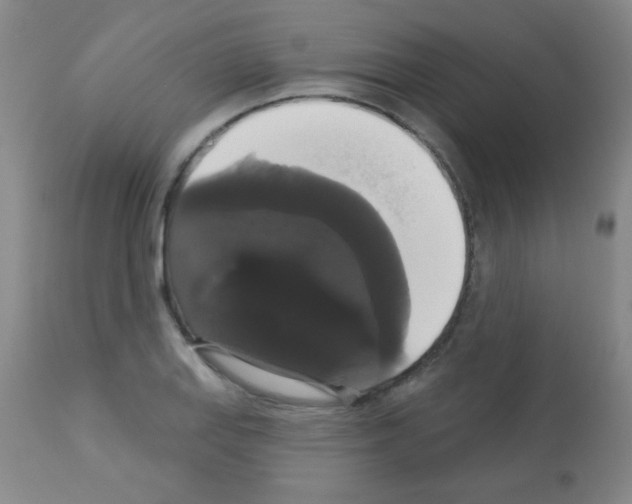 X0000113061127200910091136