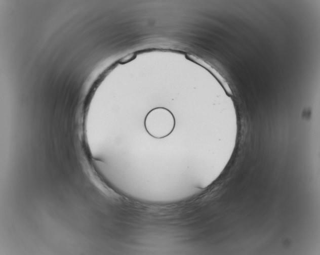 X0000113061128200910091136