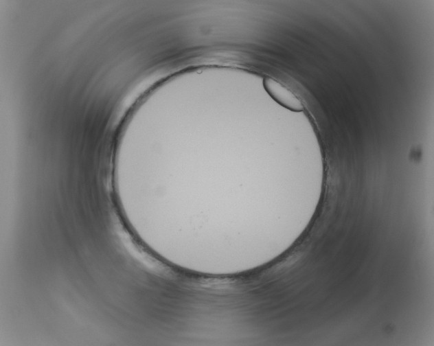 X0000113061131200910091136