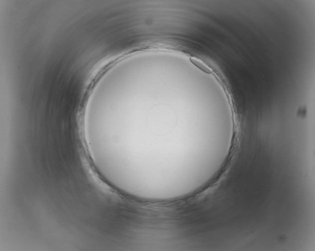 X0000113061133200910091136