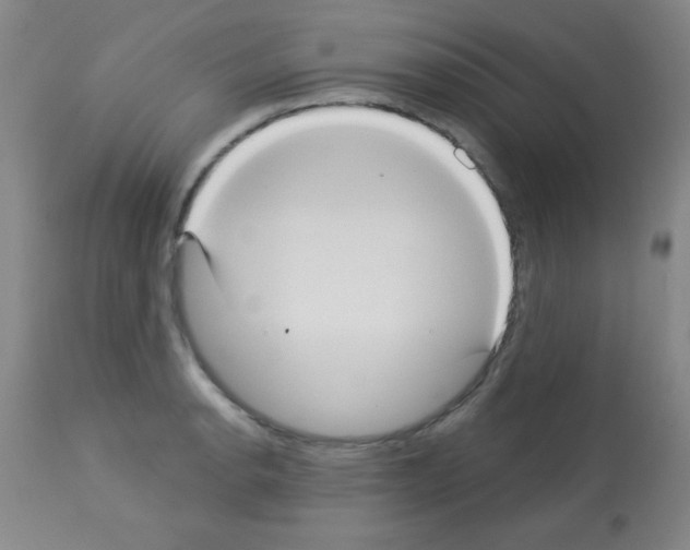 X0000113061134200910091136