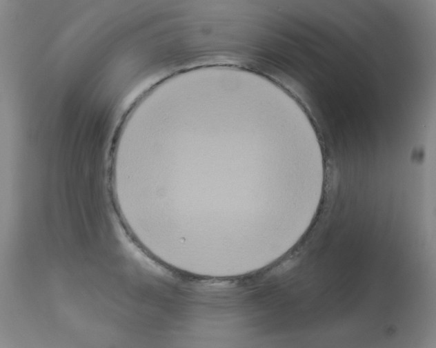 X0000113061135200910091136