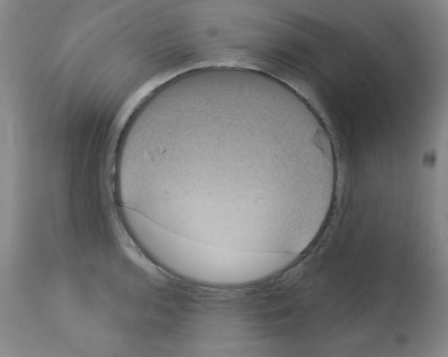 X0000113061136200910091136