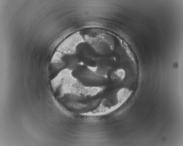 X0000113061137200910091136