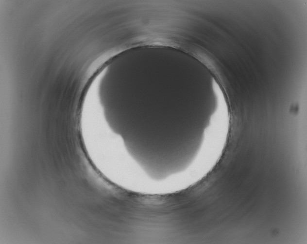 X0000113061141200910091137