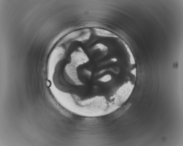X0000113061142200910091137