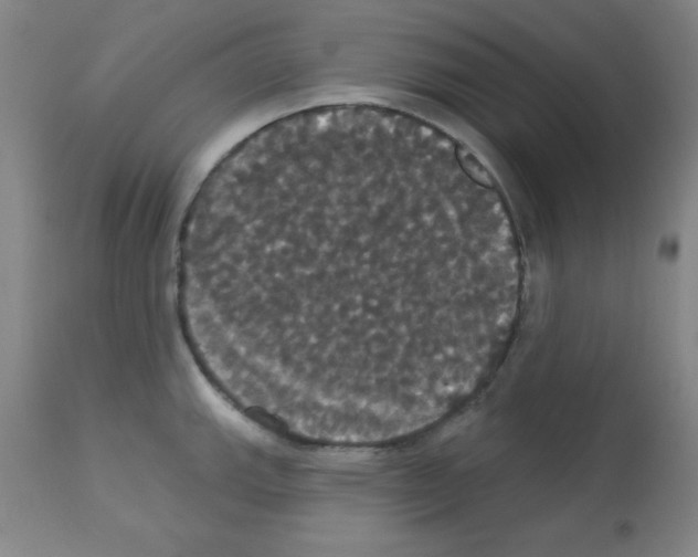 X0000113061143200910091137
