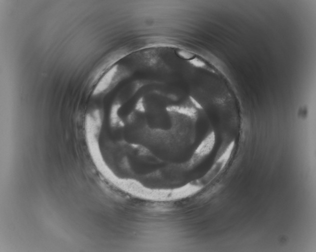 X0000113061145200910091137