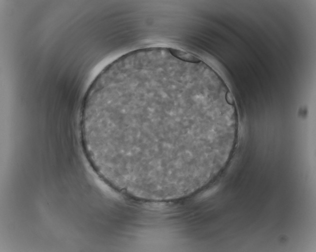 X0000113061149200910091137