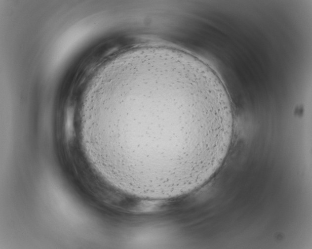 X0000113061150200910091137