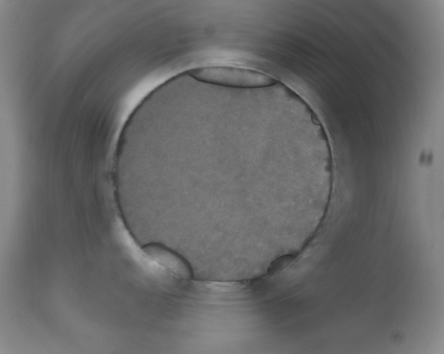 X0000113061152200910091137